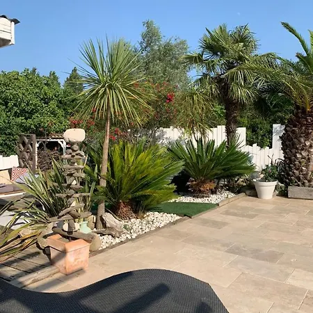 فيلة La Paloma
