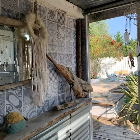 La Paloma *